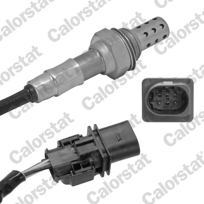 Oxygen Sensor